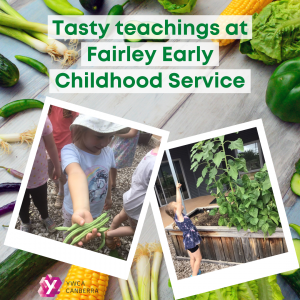 Photos of a child holding green beans and a child reaching up to pick tomatoes from a plant, with the text "Tasty Teachings at Fairley Early Childhood Service.